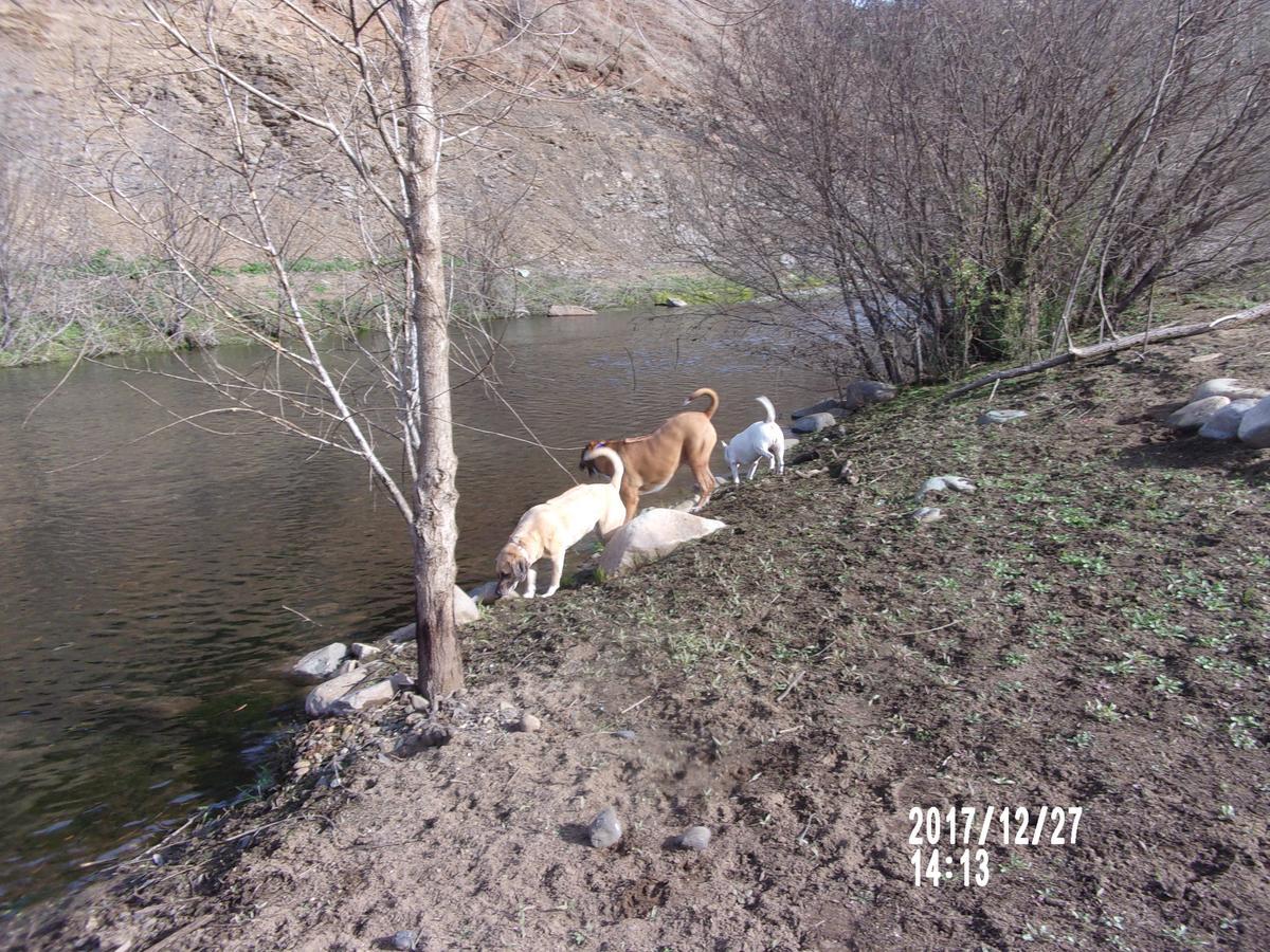 The Cub Inn B&B Groveland Dış mekan fotoğraf