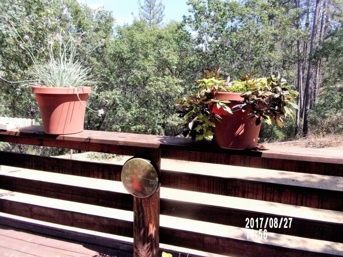 The Cub Inn B&B Groveland Dış mekan fotoğraf
